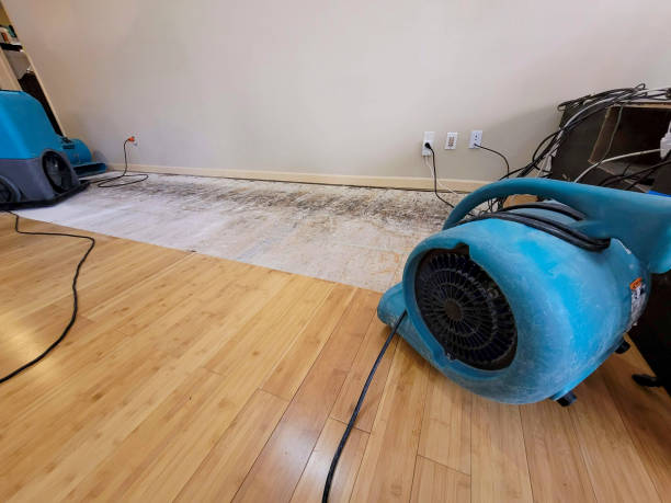 Professional Basement Flood Cleanup technician working in Magnolia, MS